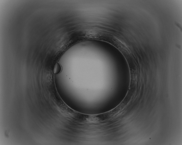 X0000093110603200709261252