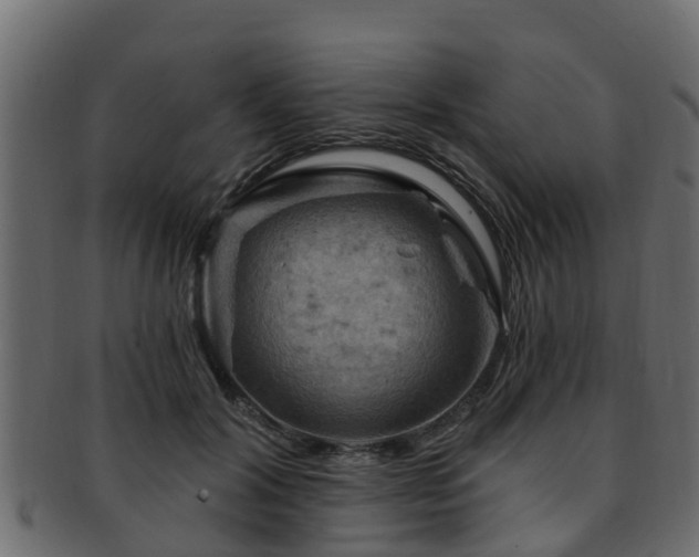X0000093110604200709261252