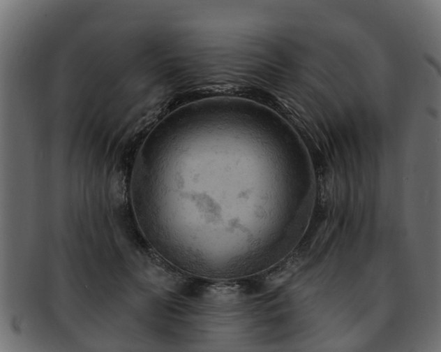 X0000093110606200709261252