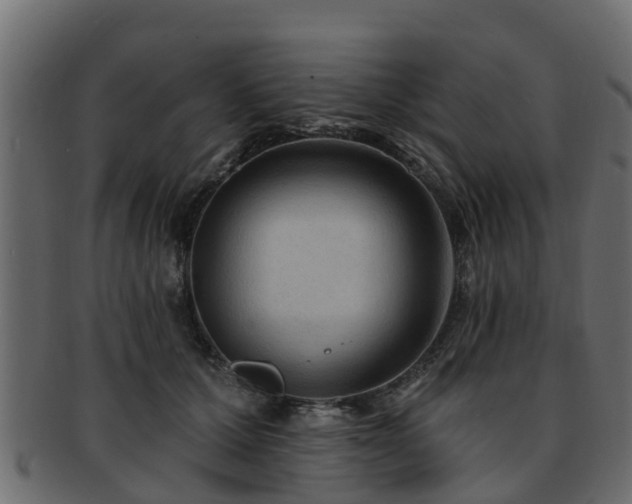 X0000093110607200709261252