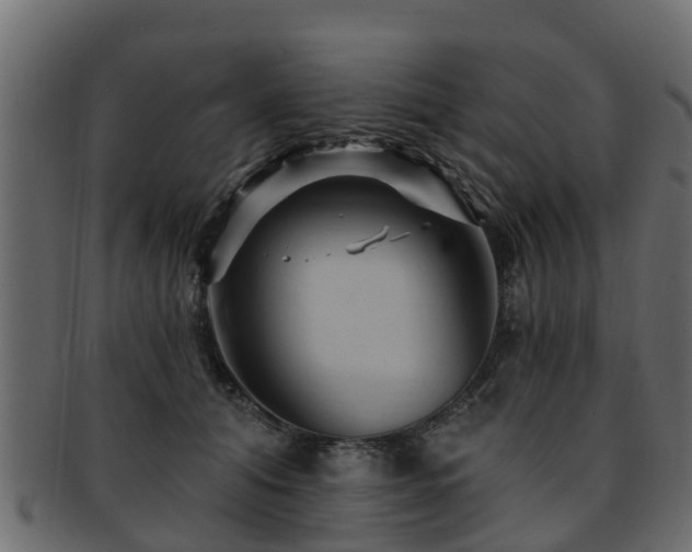 X0000093110608200709261252