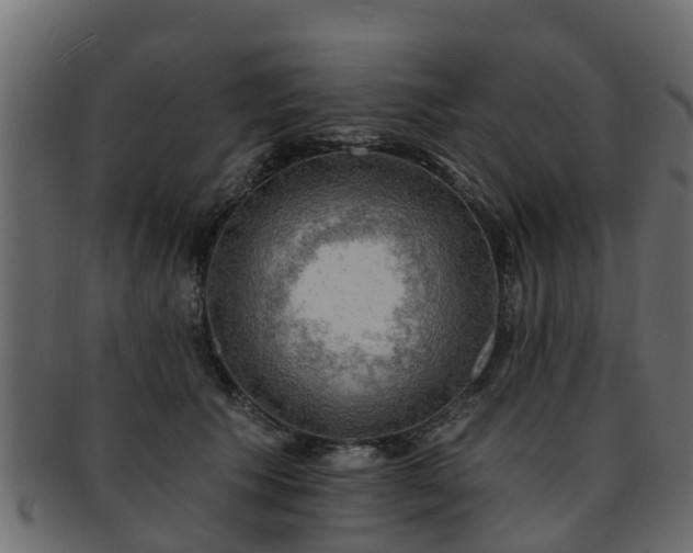 X0000093110609200709261252
