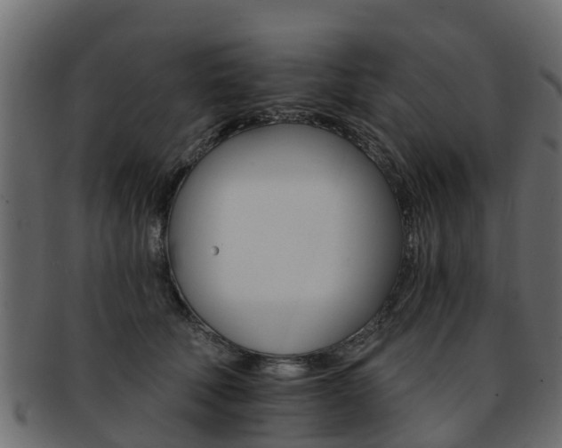 X0000093110610200709261252