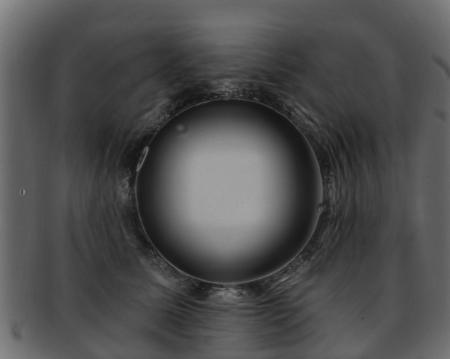 X0000093110611200709261252