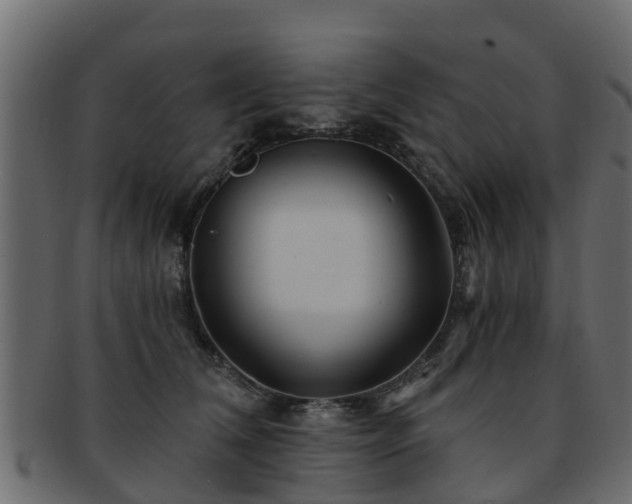 X0000093110612200709261252