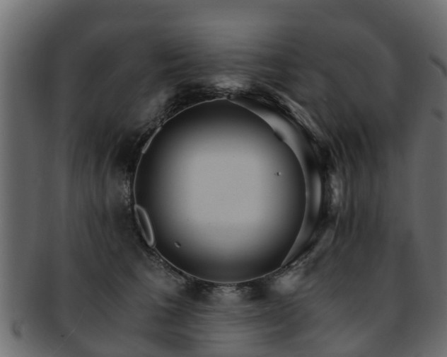X0000093110613200709261252