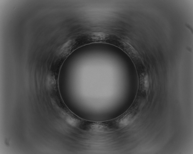 X0000093110614200709261252