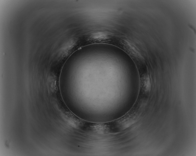 X0000093110615200709261252