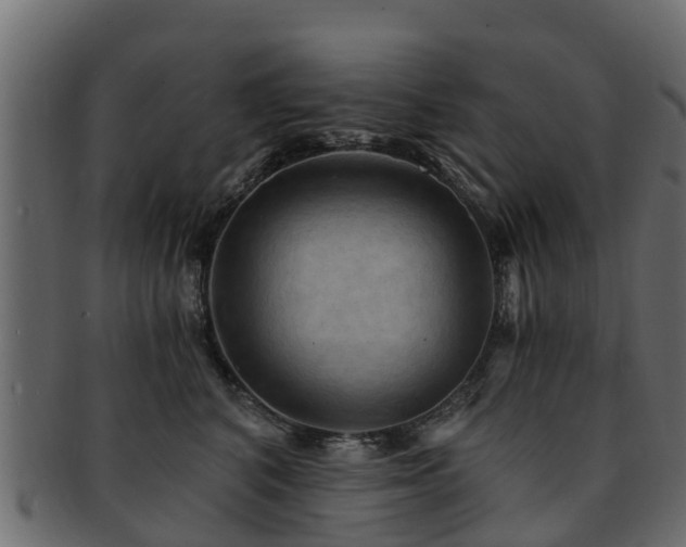 X0000093110616200709261252