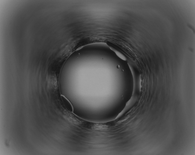 X0000093110617200709261252