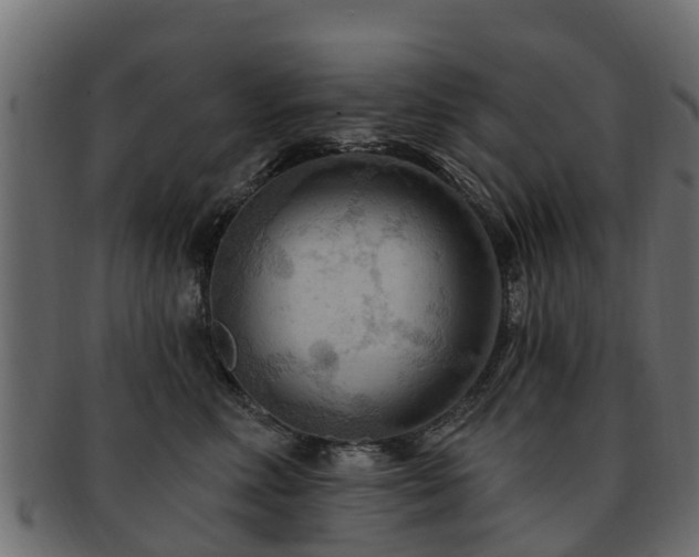 X0000093110618200709261252