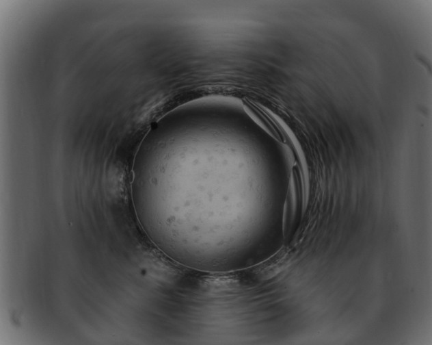 X0000093110619200709261252