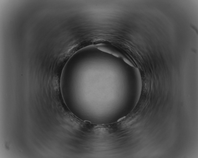 X0000093110620200709261252