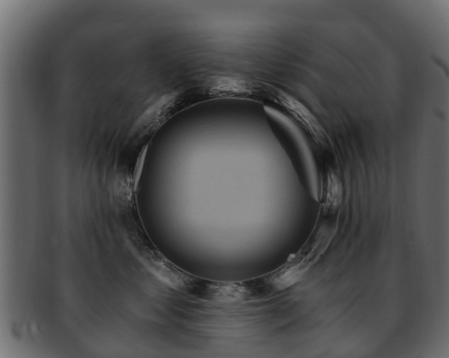 X0000093110621200709261252