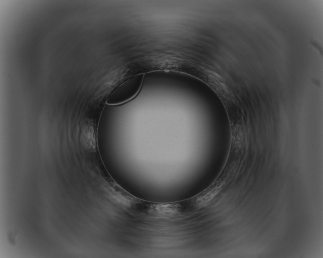 X0000093110622200709261252
