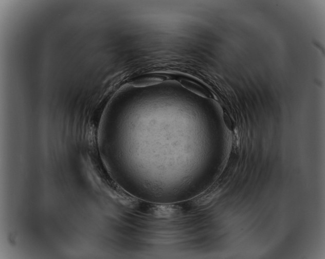 X0000093110623200709261252