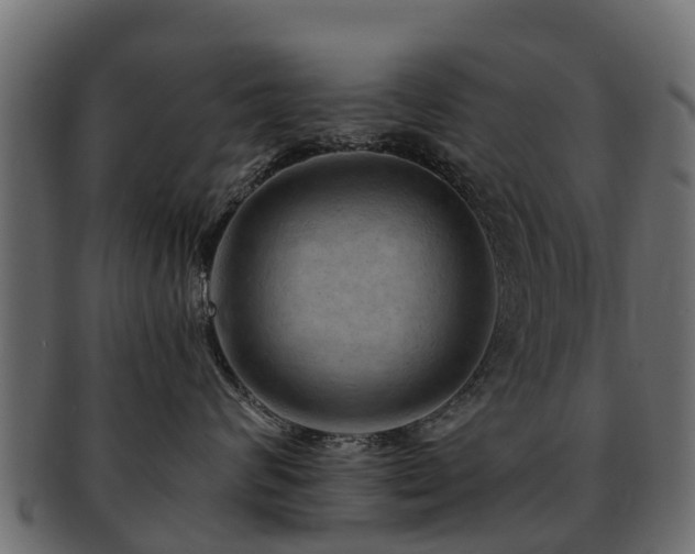 X0000093110624200709261252