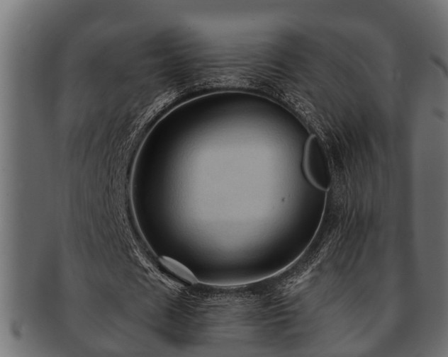 X0000093110625200709261251