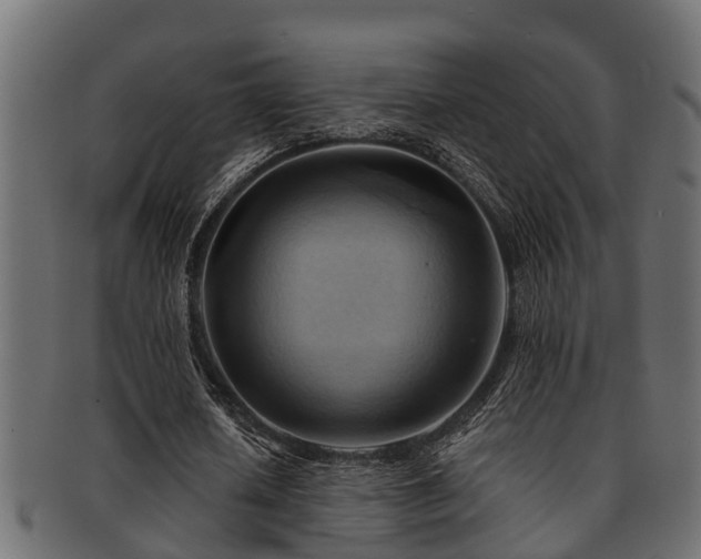 X0000093110626200709261251