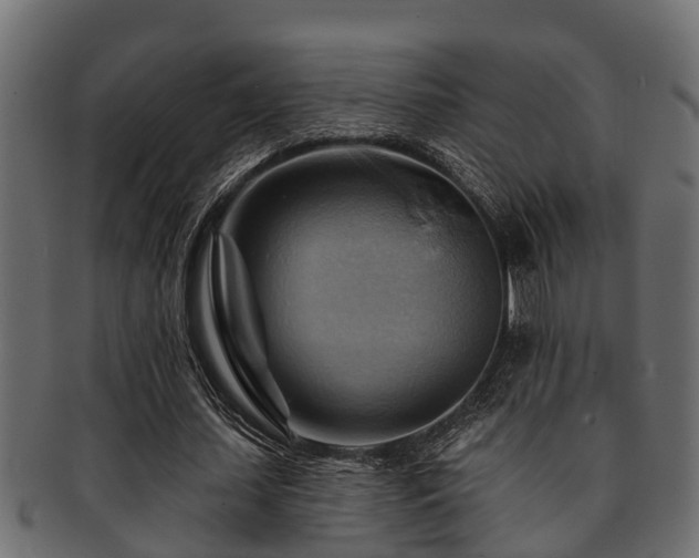 X0000093110627200709261251