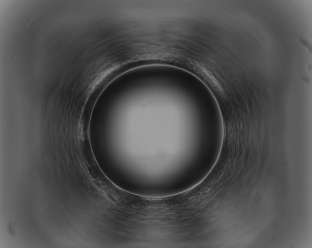 X0000093110628200709261251