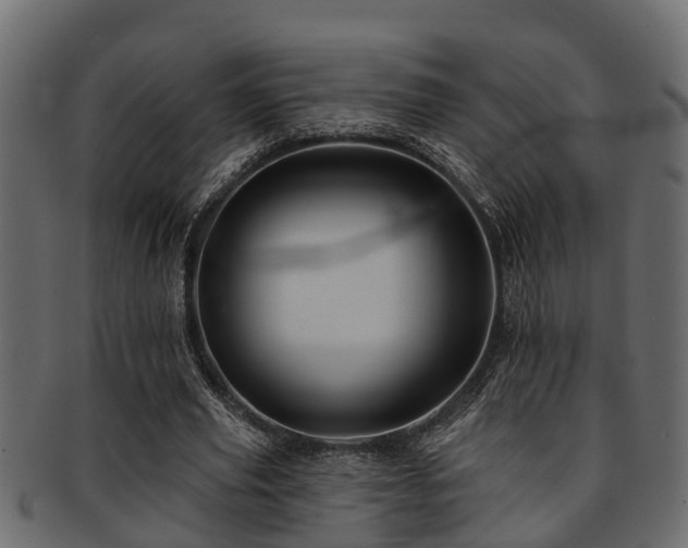 X0000093110629200709261251
