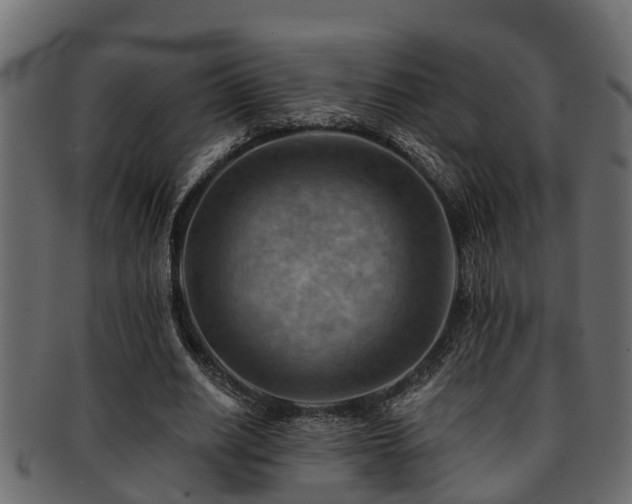 X0000093110630200709261251