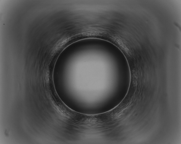 X0000093110631200709261251