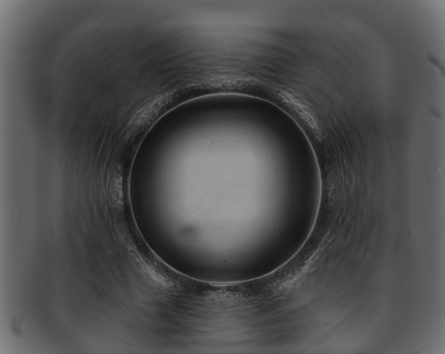 X0000093110633200709261251