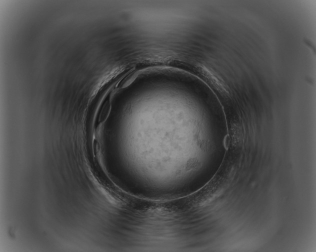 X0000093110634200709261251