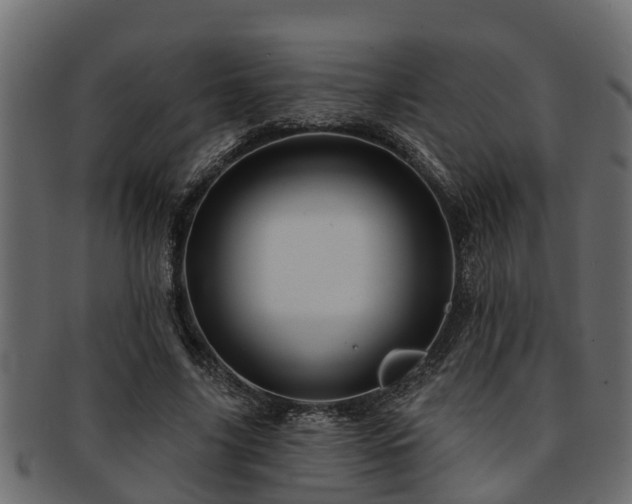 X0000093110635200709261251