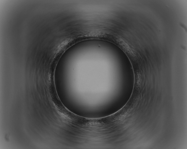 X0000093110636200709261251