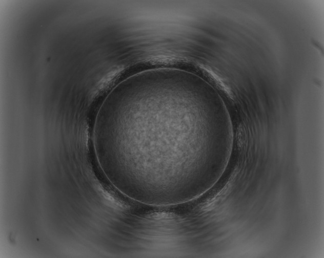X0000093110637200709261251