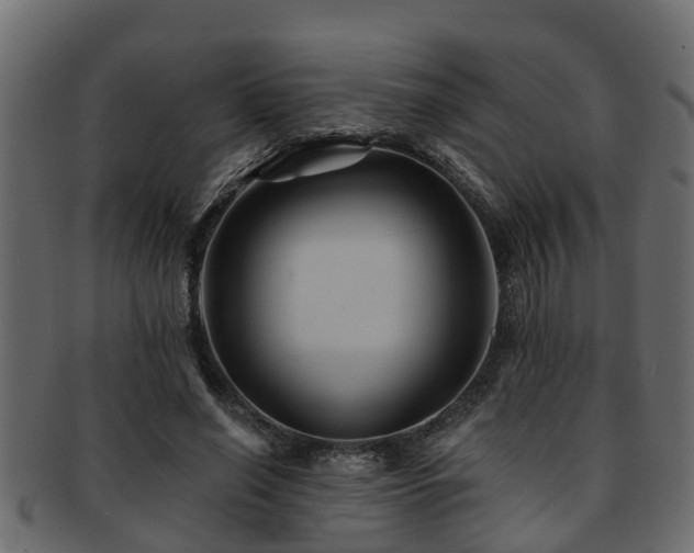 X0000093110638200709261251