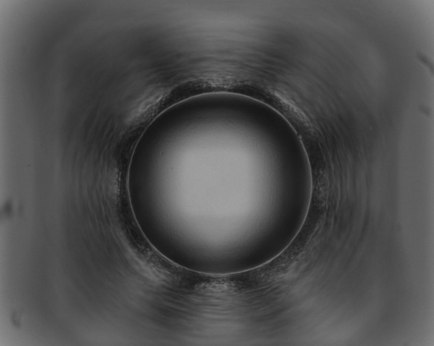X0000093110639200709261251