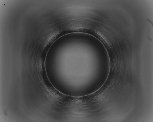 X0000093110640200709261251