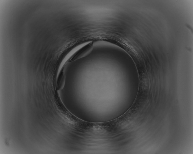 X0000093110641200709261251