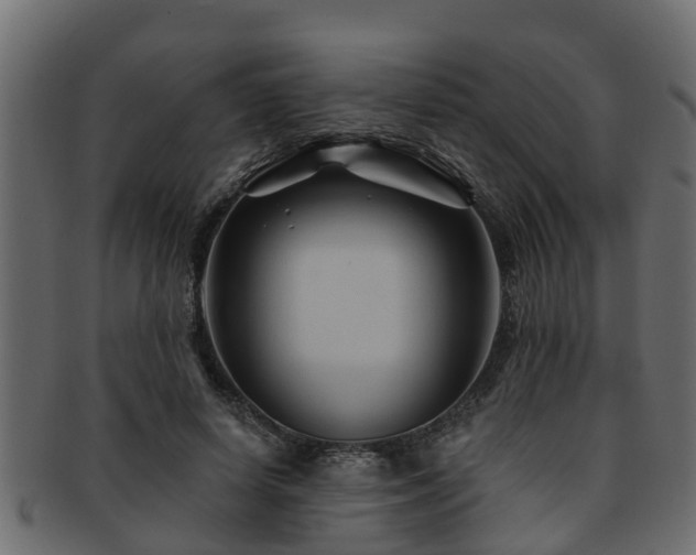 X0000093110642200709261251