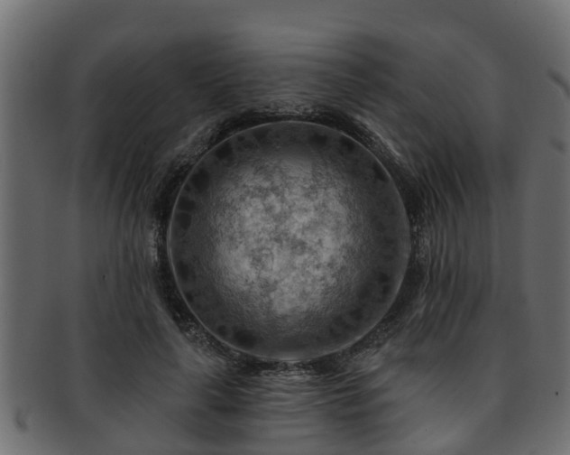 X0000093110643200709261251