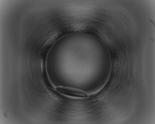 X0000093110644200709261251