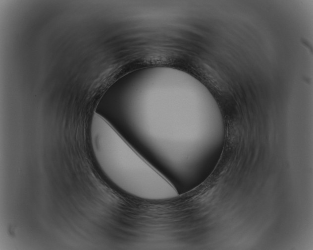 X0000093110645200709261251