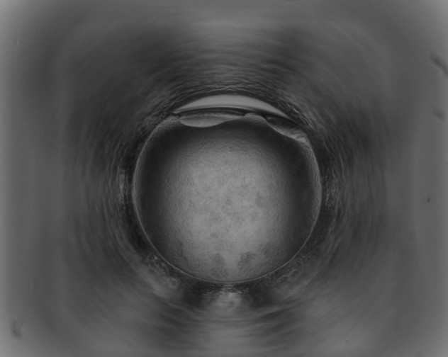 X0000093110647200709261251