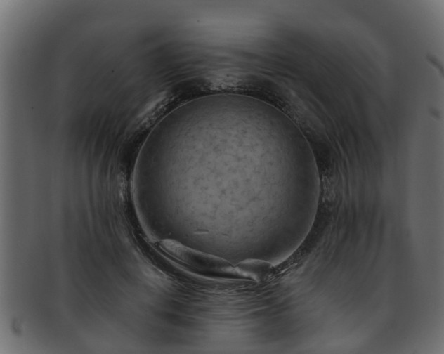 X0000093110648200709261251