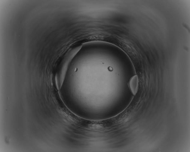 X0000093110649200709261251