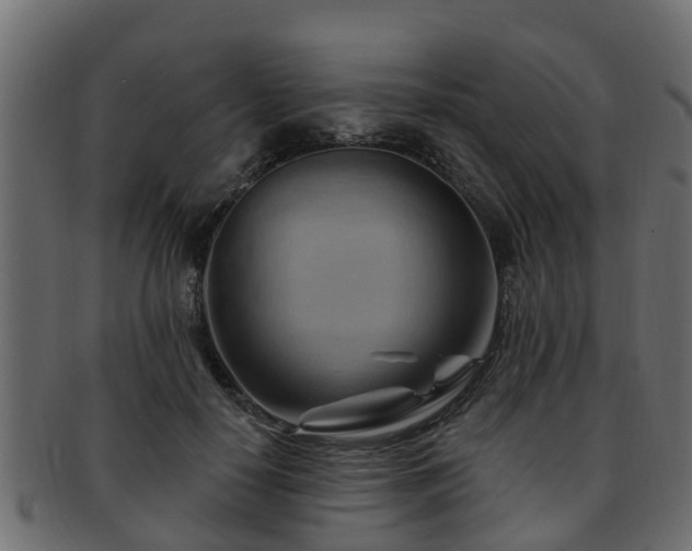 X0000093110650200709261251