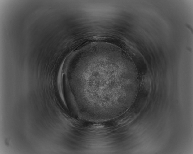 X0000093110651200709261251