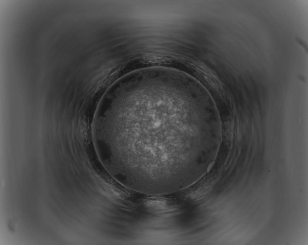 X0000093110653200709261251