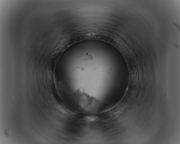 X0000093110654200709261251