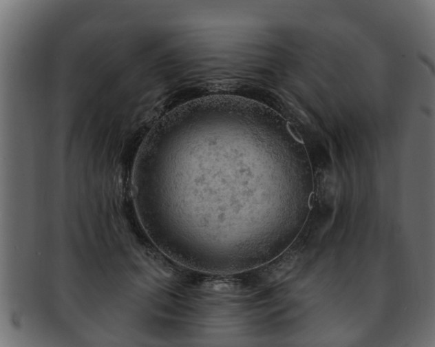 X0000093110655200709261251