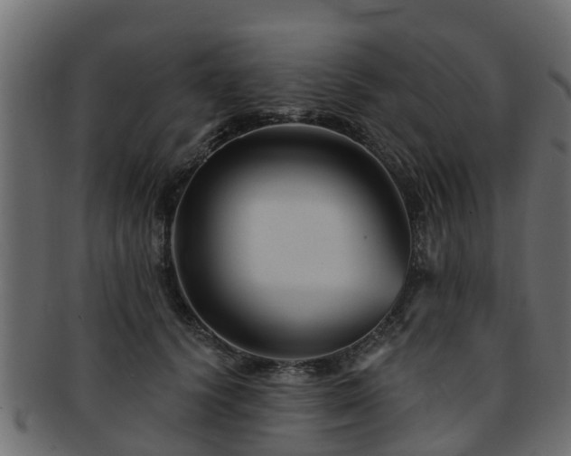 X0000093110656200709261251